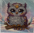 Winter Owl on Branch Crystal Art Greeting Card