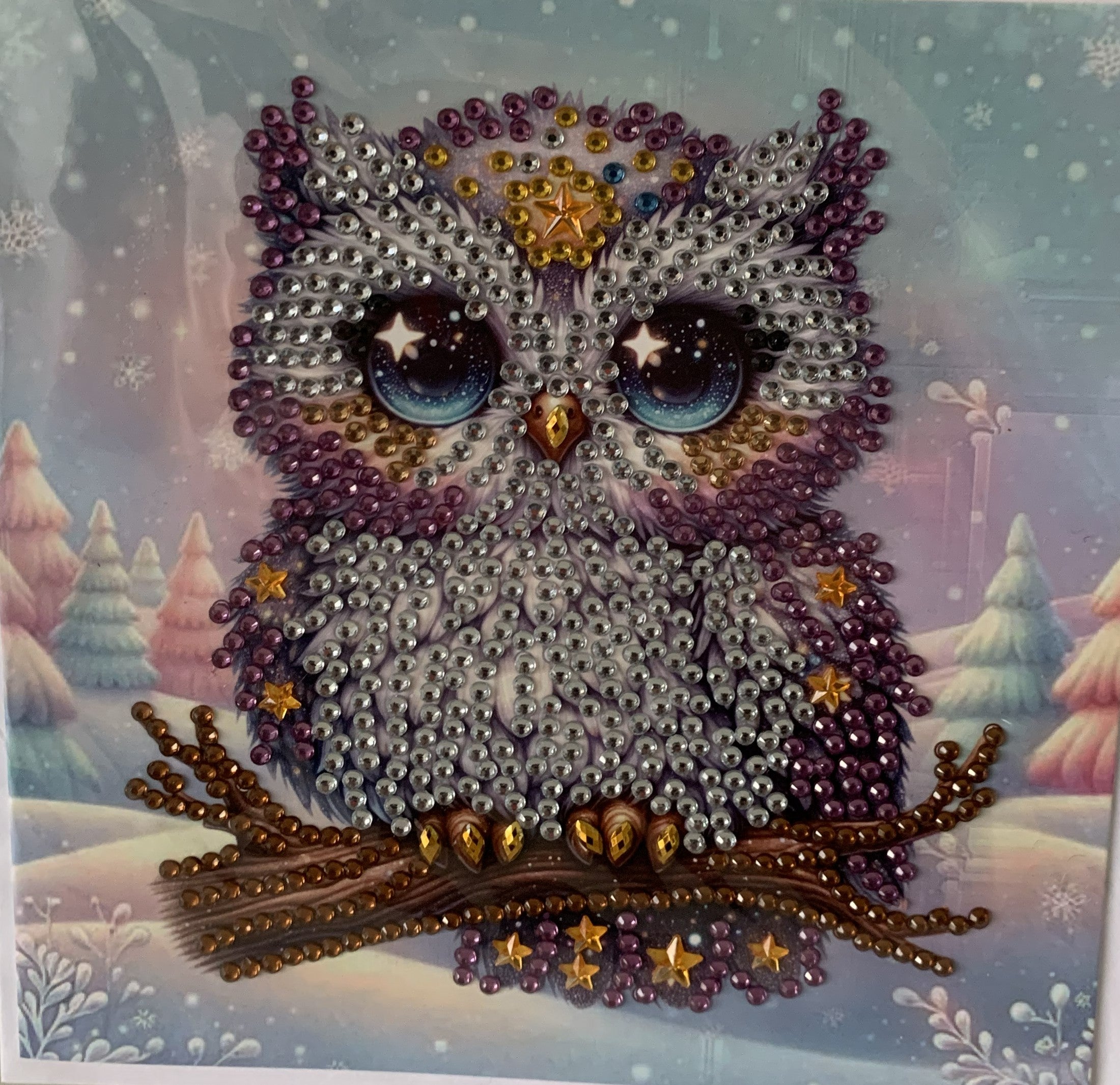 Winter Owl on Branch Crystal Art Greeting Card