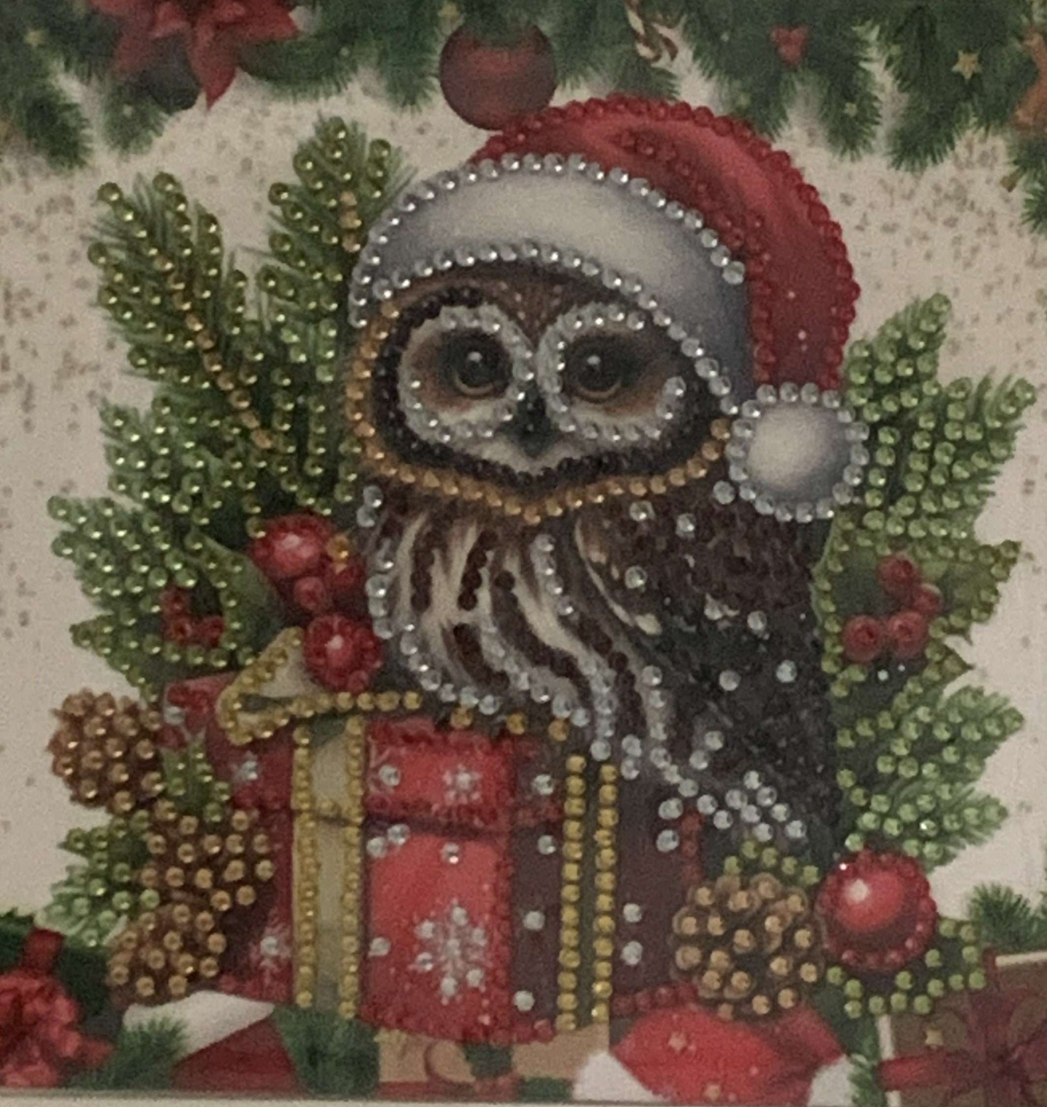 Santa Hat Owl Christmas Gift Crystal Art Card