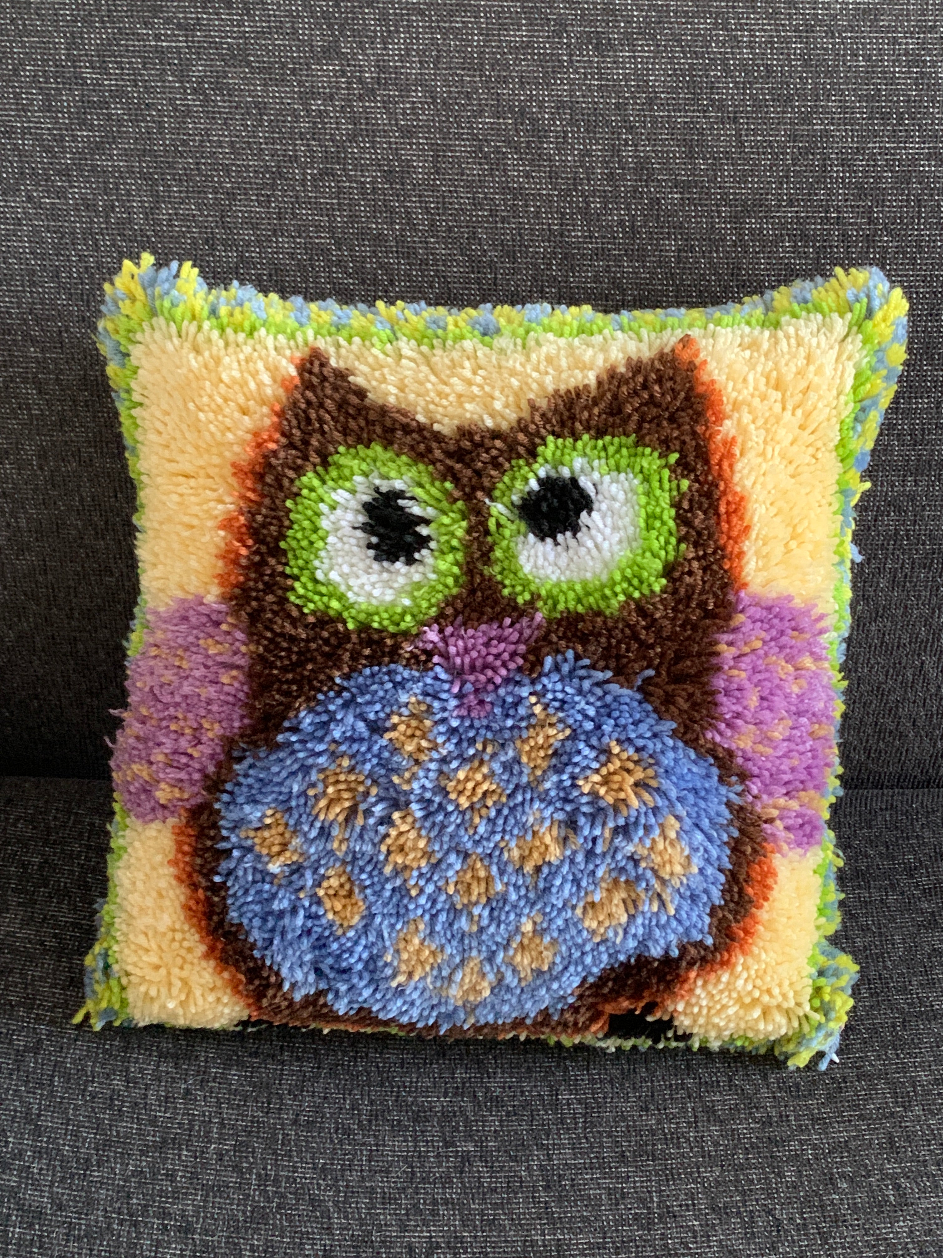 Latch Hook Cushion Cover – Cheeky Owl