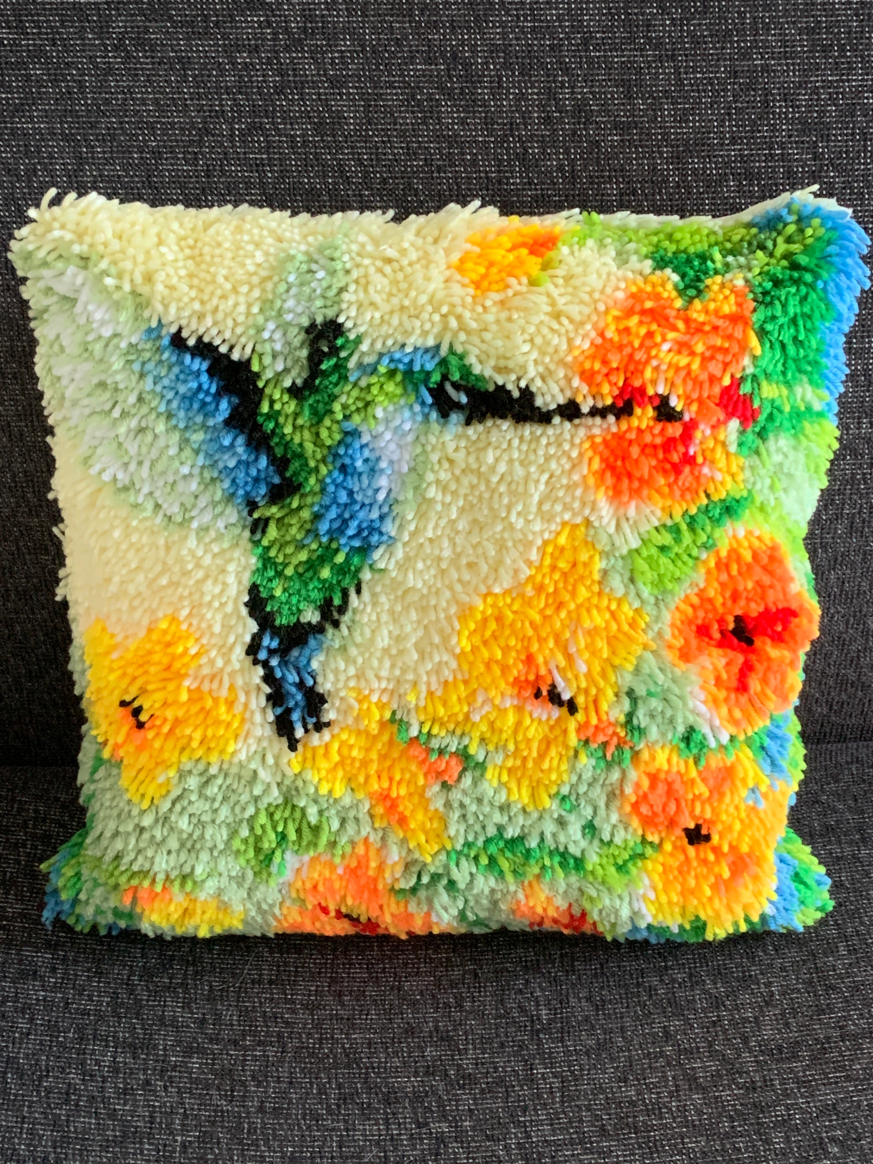 Latch Hook Cushion Cover – Hummingbird & Flowers