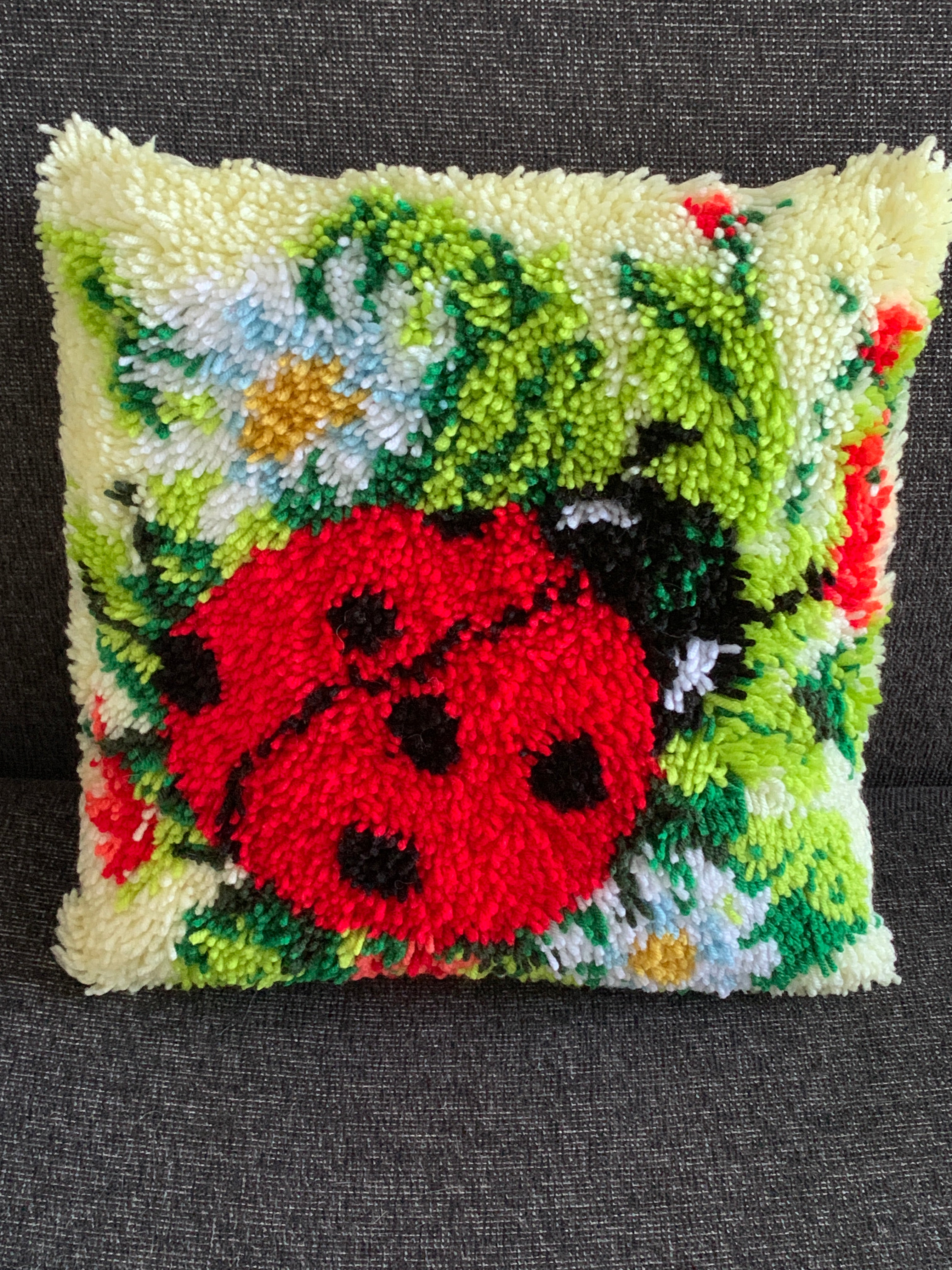 Latch Hook Cushion Cover – Ladybird in the Garden