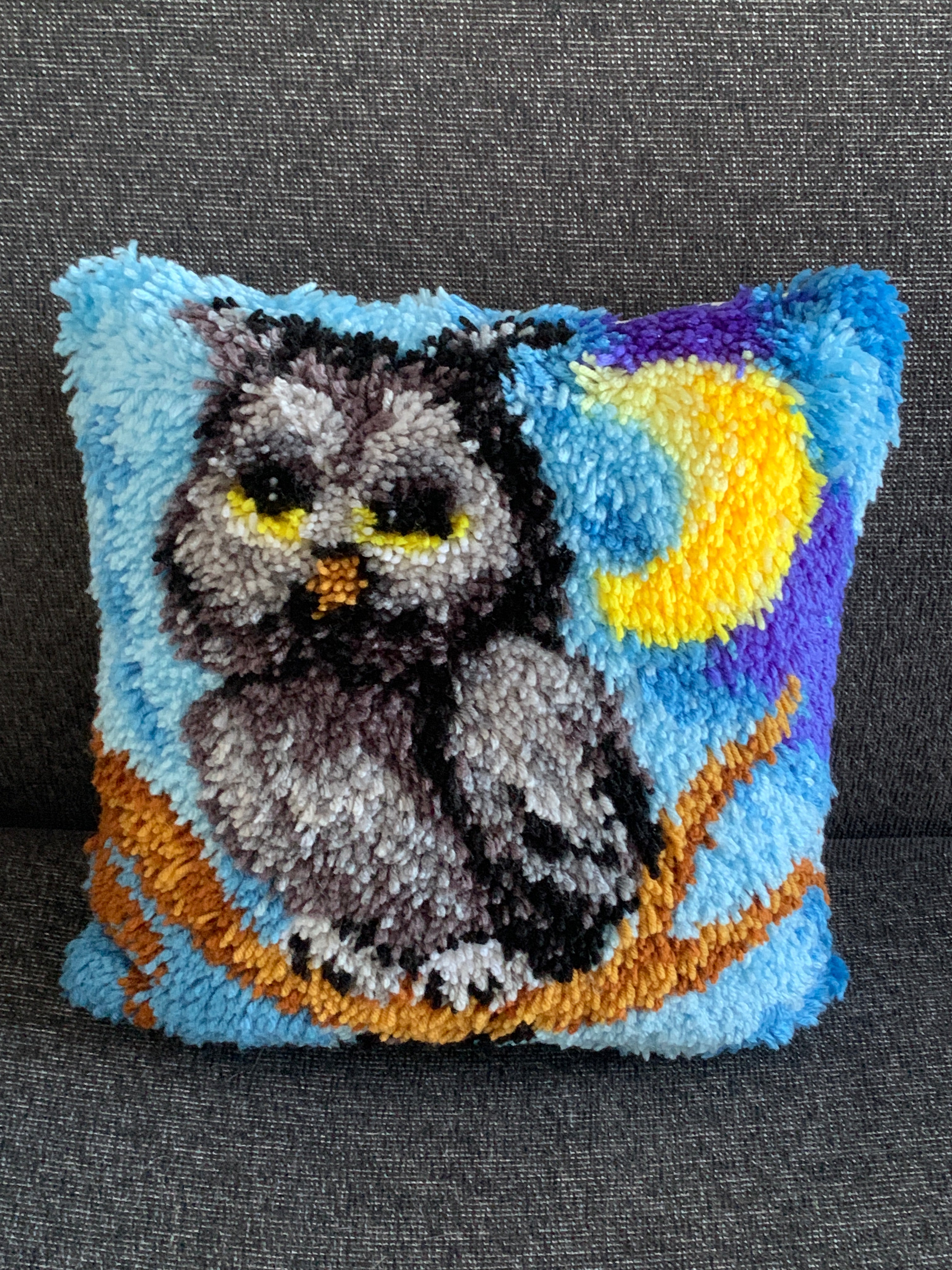Latch Hook Cushion Cover – Owl by Moonlight