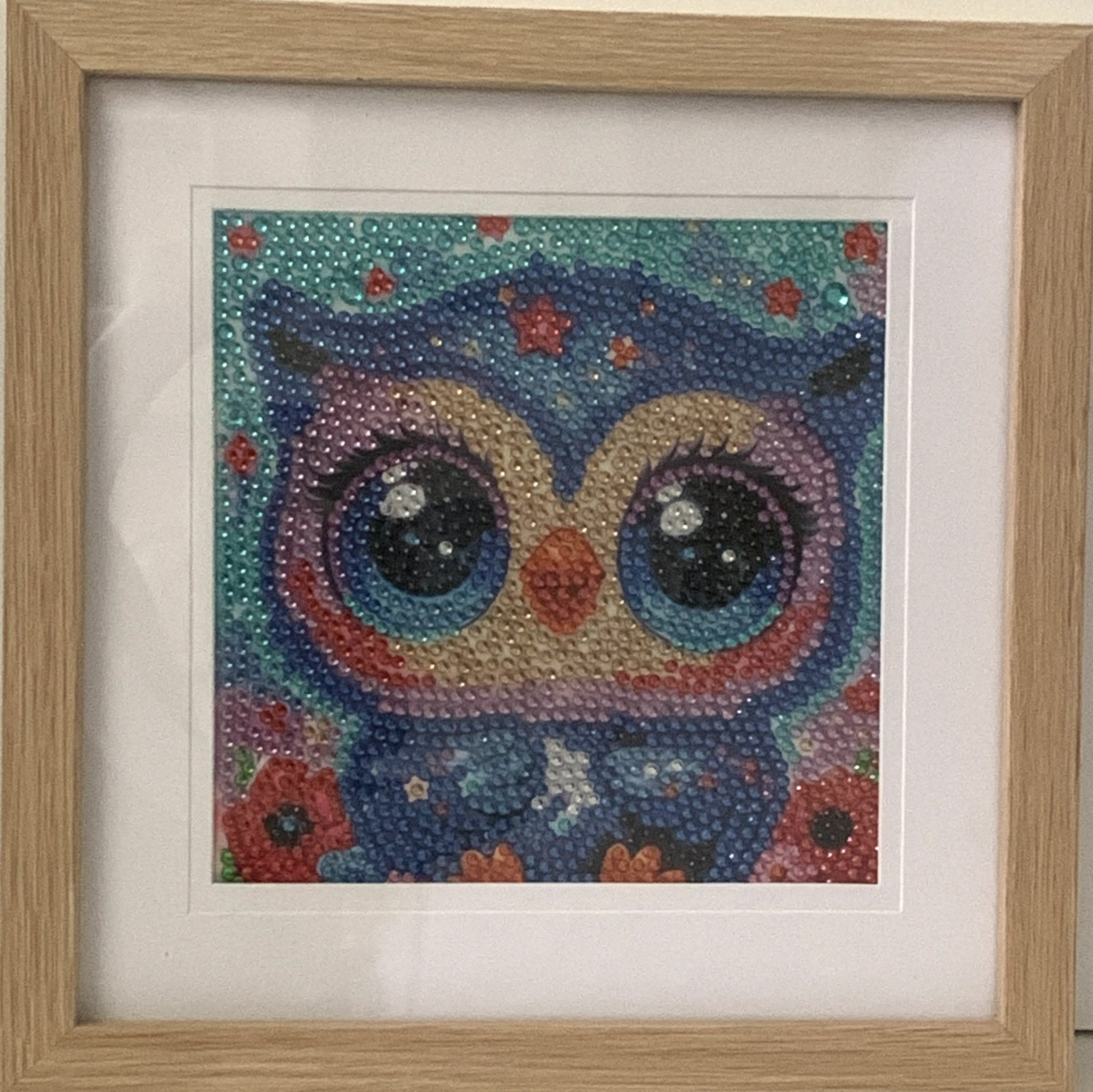 Framed Diamond Painting – Big Eyes Owl