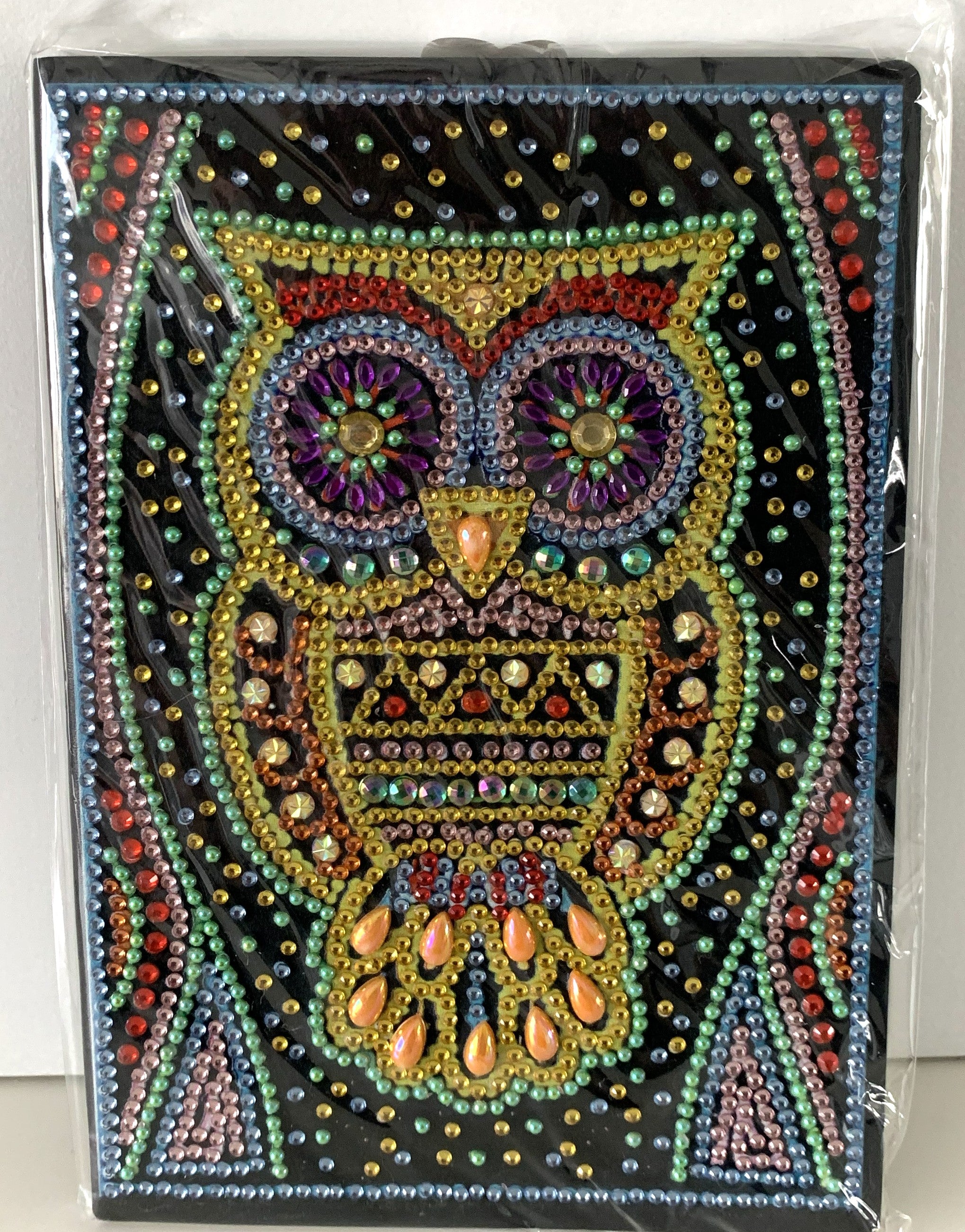 A5 Notebook – Rainbow Owl